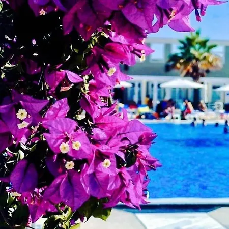 Alojamento de Acomodação e Pequeno-almoço Punta Piana Palmi