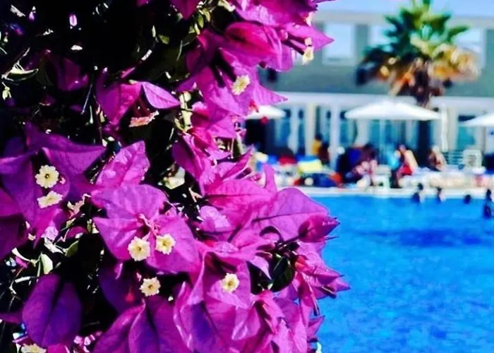 Bed & Breakfast Punta Piana Palmi